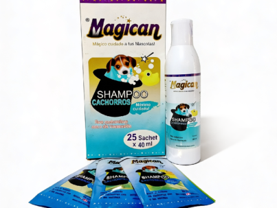 Magican_Cachorros